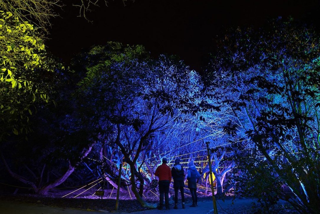 Christmas at The Lost Gardens of Heligan, Cornwall