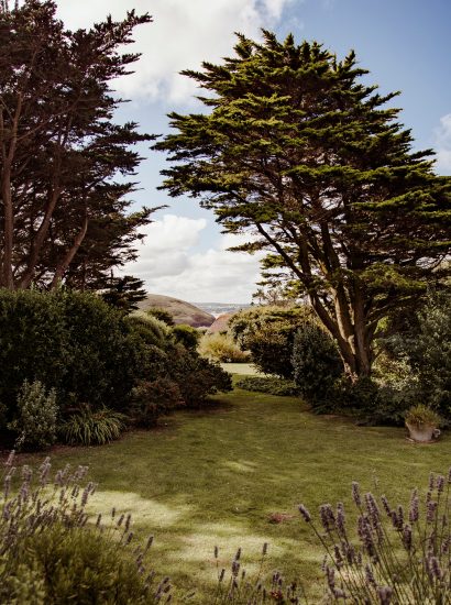 Garden at Skylarks, a self-catering holiday home above Daymer Bay, North Cornwall
