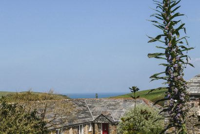 Sea views from The Linhaye, a self-catering holiday home near Port Isaac, North Cornwall