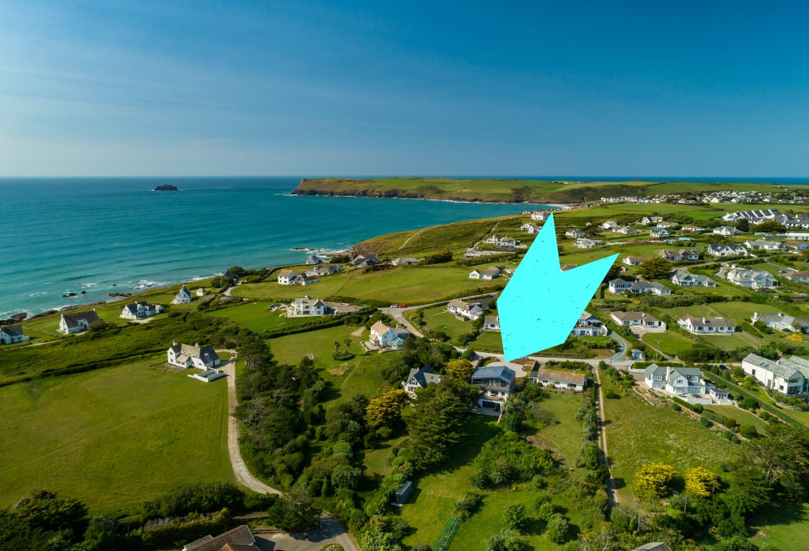 Puffins | Daymer Bay | North Cornwall